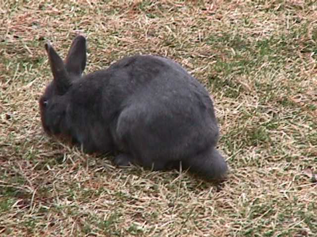 Magic outside on Easter