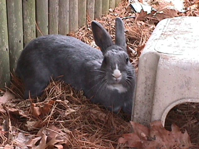 well magic loves to dig